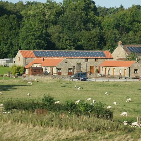 Rawcliffe House Farm Villa Пикъринг Екстериор снимка