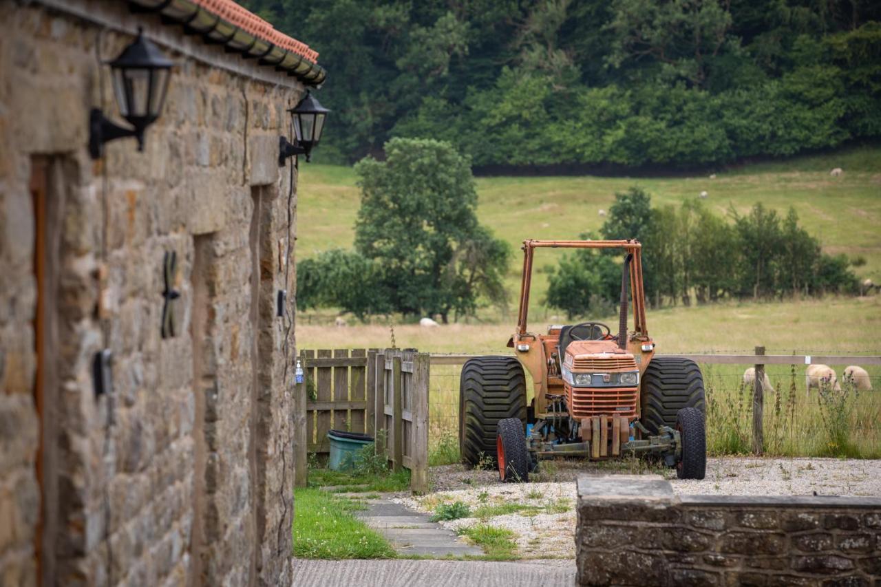 Rawcliffe House Farm Villa Пикъринг Екстериор снимка
