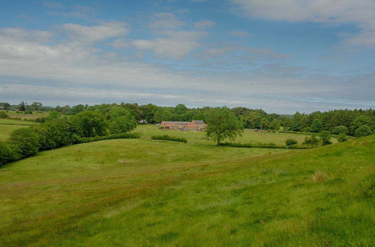 Rawcliffe House Farm Villa Пикъринг Екстериор снимка