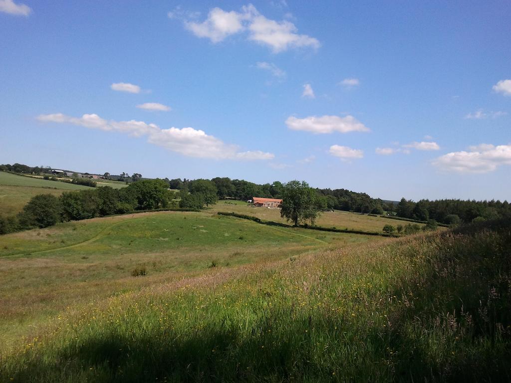 Rawcliffe House Farm Villa Пикъринг Екстериор снимка