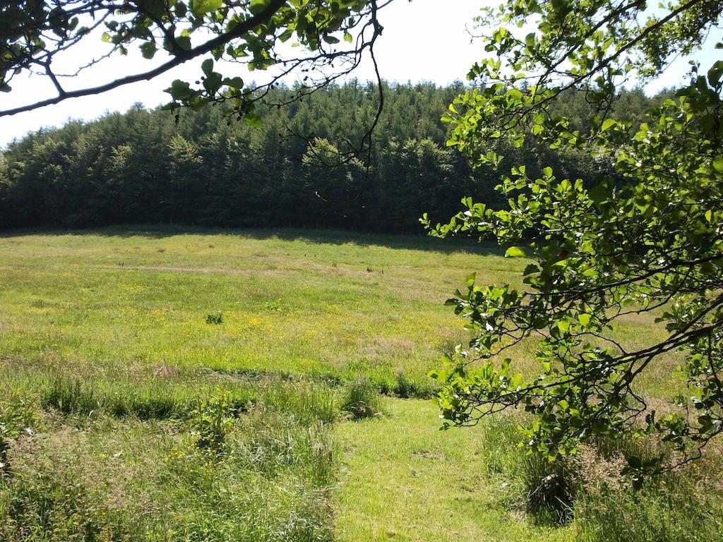 Rawcliffe House Farm Villa Пикъринг Екстериор снимка
