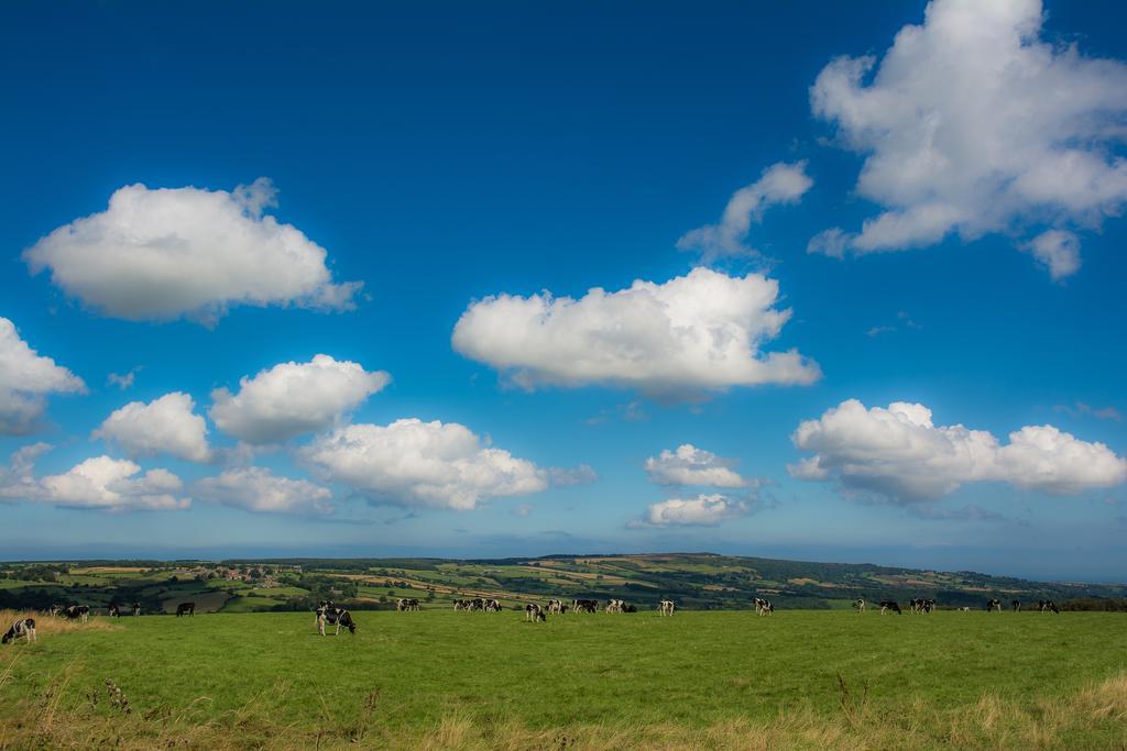 Rawcliffe House Farm Villa Пикъринг Екстериор снимка